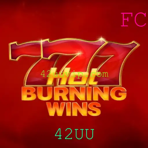 Descubra o universo de HotBurningWins: O Jogo Que Conquista Multidões